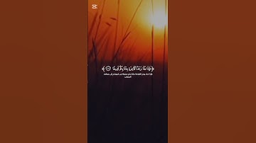أفضل تلاوة القرآن الكريم بصوت جميل 💙 اللهم اجعل القرآن ربيع قلوبنا ونور صدورنا