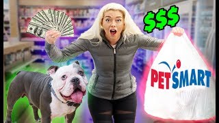 Buying My Dog EVERYTHING He Touches!