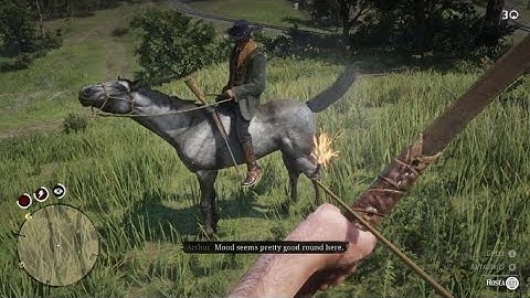 RDR2-Earlist time to get a Rolling Block Rifle (companion glitch in a doable way)