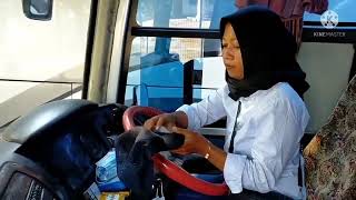 bus sinar jaya driver cewek hebat Jakarta