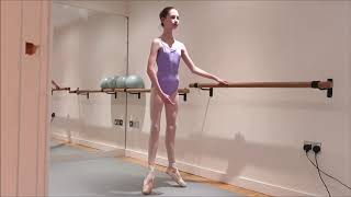 POINTE WORK/pointe shoes  RISES  BALLET