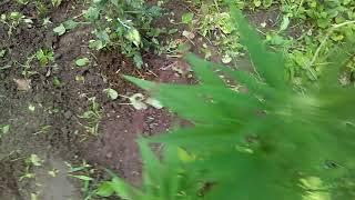 Outside update