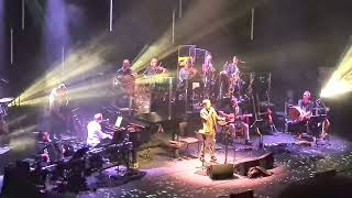 The Divine Comedy - The Dogs and The Horses - Barbican 01/09/22 live 2022