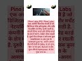 #ipo #stockmarket #nifty #sharemarket #investment #trading #nse #bse #stocks #investing #sensex #