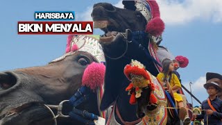 Kuda renggong bikin menyala - Dancing horse video