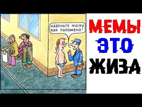 Видео: Мемы это ЖИЗНЬ