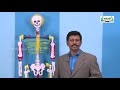 ஆய்வுக் கூடம் Std 8 Science இயக்கம் Part 02 Kalvi TV