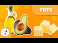 What are fats? - Healthy Eating for Kids