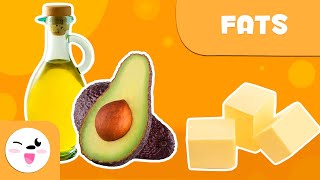 What are fats? - Healthy Eating for Kids