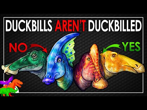Duckbill Dinosaurs AREN’T Duckbilled