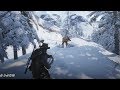 Red Dead Redemption 2 - Hunting In Spider Gorge