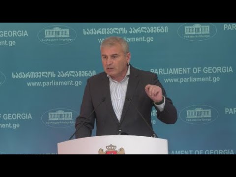მელიას გადასაწყვეტია, დაემორჩილება კანონს თუ დაიმძიმებს აღკვეთის ღონისძიების პირობებს - ქადაგიშვილი