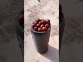 chocolate bouncing with JBL sounds test and tip tip song