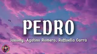 PEDRO - Jaxomy, Agatino Romero, Raffaella Carrà (TikTok Song) || Lyrics