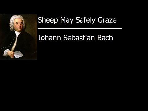 Sheep May Safely Graze - Johann Sebastian Bach [Vinyl Rip] - YouTube