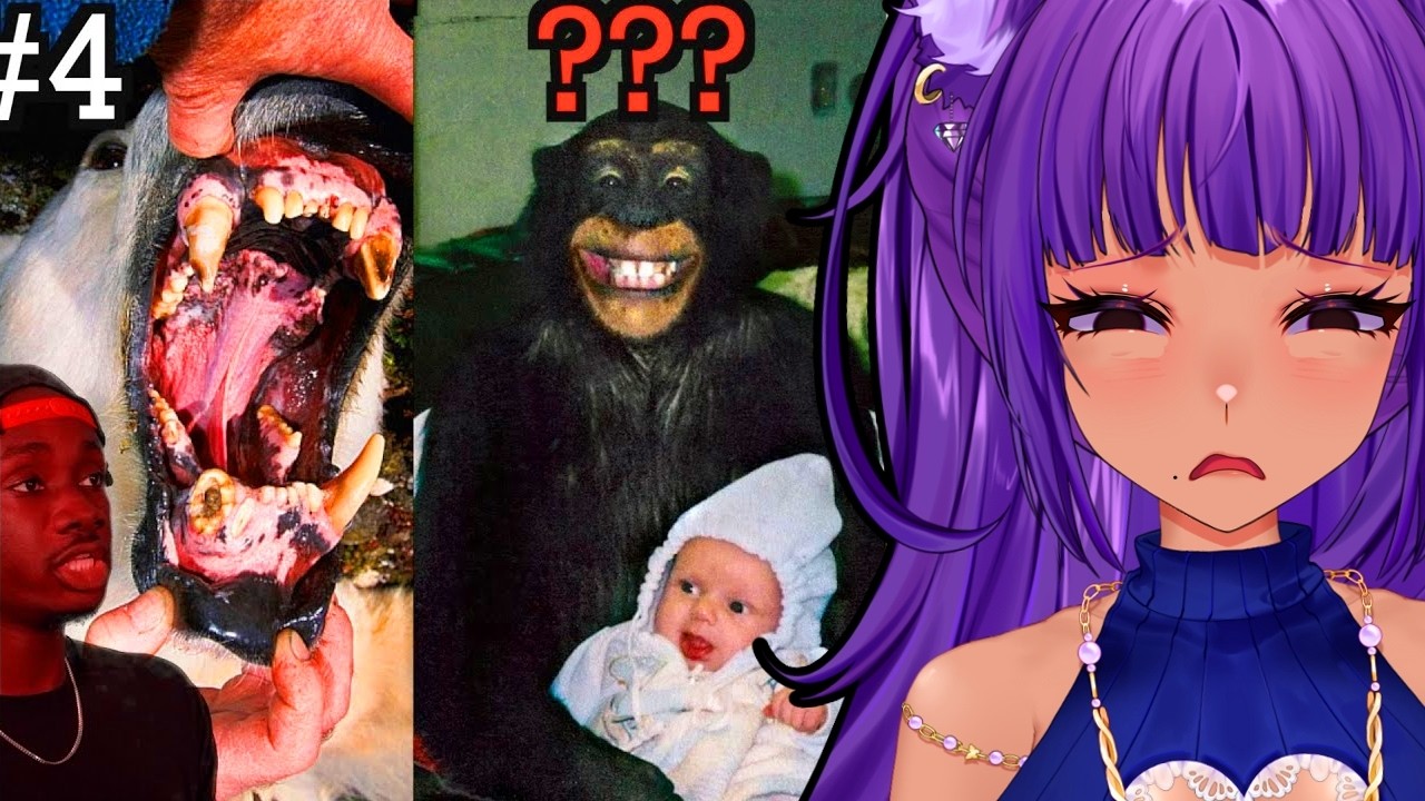 Disturbing Ways Animals Can HUNT You! || Casual Geographic React