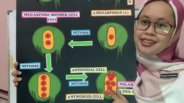 Microteaching SCE550