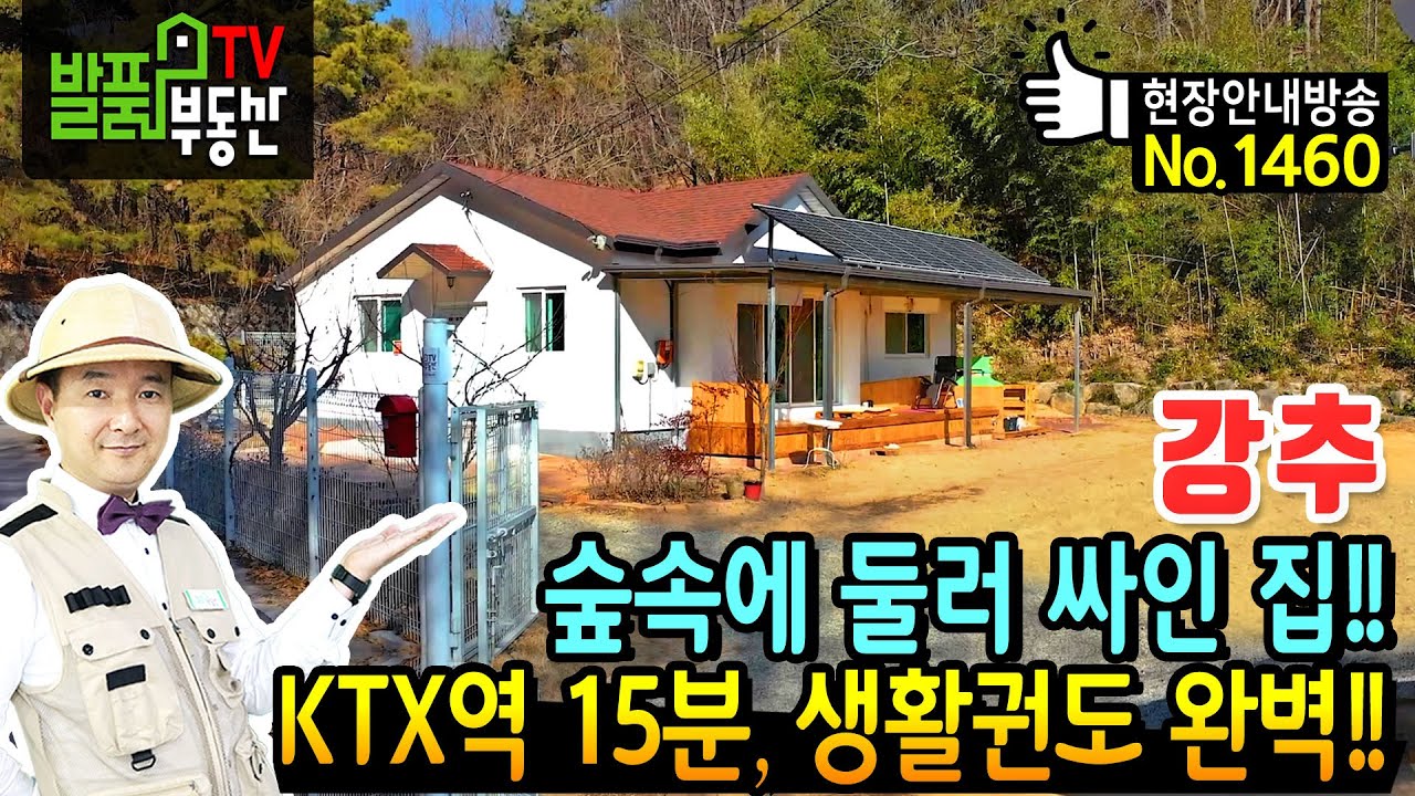 (강추) 숲속에 둘러 싸인 집!! 힐링과 생활권 두마리를 다 잡았습니다 경북 김천 전원주택 매매 급매 KTX역 15분 마을 최상단 독립적인 위치 텃밭 김천부동산 - 발품부동산TV