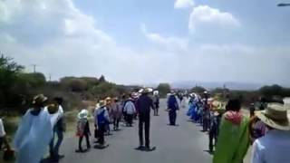 3 de mayo san jose de purisima 2017 slp