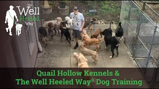 The Well Heeled Way - Quail Hollow Kennels - Dog Boarding