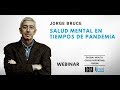 Webinar 14: Salud mental en tiempos de pandemia