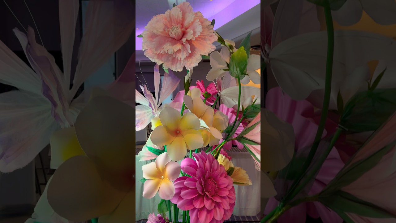 Exhibit at Miami Fontainebleau 2024🎉🎉🎉