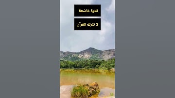 تلاوة خاشعة من سورة الجاثية دقيقة فقط من القرآن
