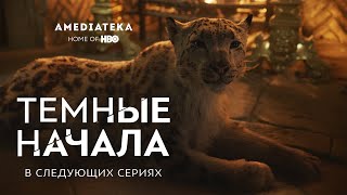 Темные начала | В следующих сериях (2019) Темные начала | В следующих сериях (2019)