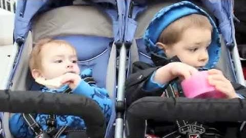 Dutchess County Stroller Strides -- Nessa Knows Best