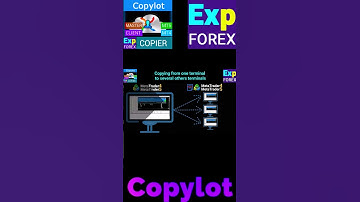 COPYLOT Copier for MetaTrader #expforex #trading #vladon #trader #ea #forex