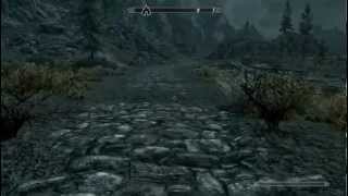 Skyrim Unlimited Sprinting Bug [NVIDIA GeForce GT 420M 1GB]