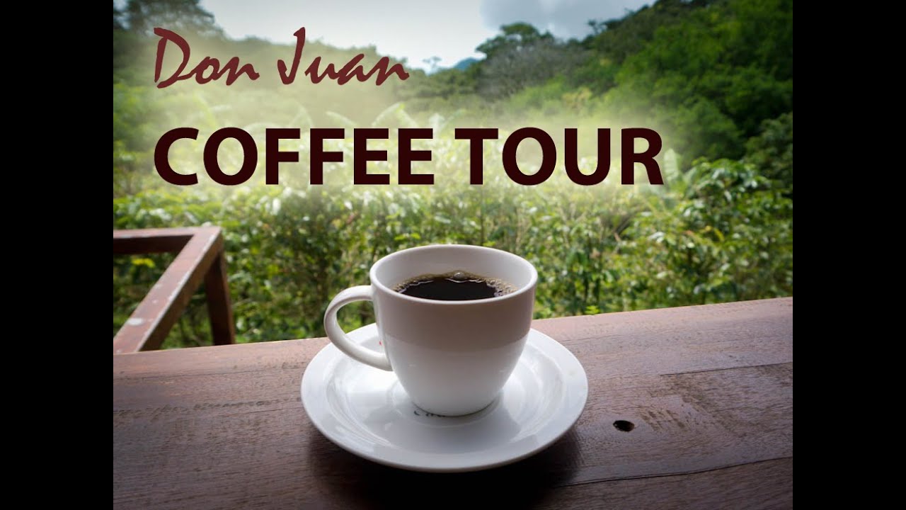 don juan coffee tours