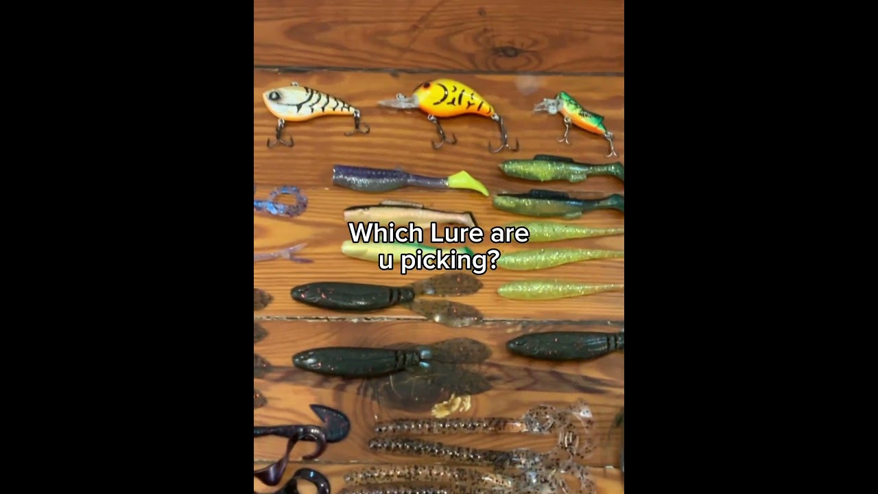 Comment which lure your picking🎣 #fishing #relatable #fyp #goviral #beginner