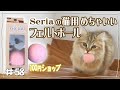 【猫おもちゃおすすめ】猫用ボールを100均で購入！コスパよすぎ！毎夜大興奮して追いかけて持ってくる