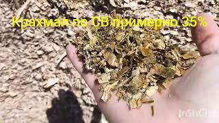 Обзор и сравнение траншей с силосом. Последствия разгерметизации