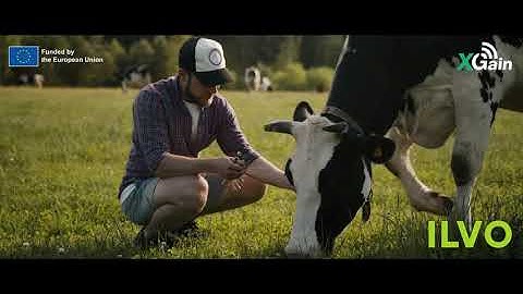 Livestock Goes Smart: Monitoring Cows with AI & IoT | XGain in Action