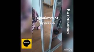 Дезинфекция от муравьёв Котельники #89123476174