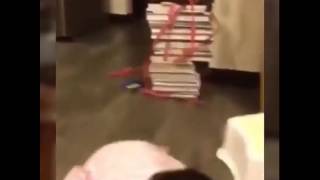 Çelme Takan Kedi
