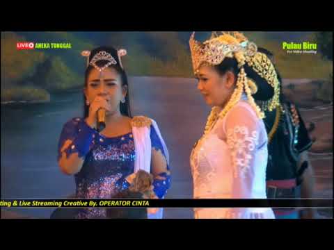 Dirangkul nyingkur VOC ANIK Arnika (COVER)