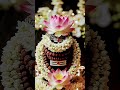 Ab To Siva Tere Koi chah Nahin#mahadev #🙏🙏🙏#trending #million #🕉🕉🕉#🔱🔱🔱#🙏🙏🙏🌿🌿🌿