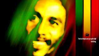 Bob Marley - Craven Choke Puppy