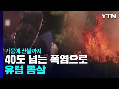Europe reels from record-breaking heatwave over 40°C... Dought and wildfires follow / YTN