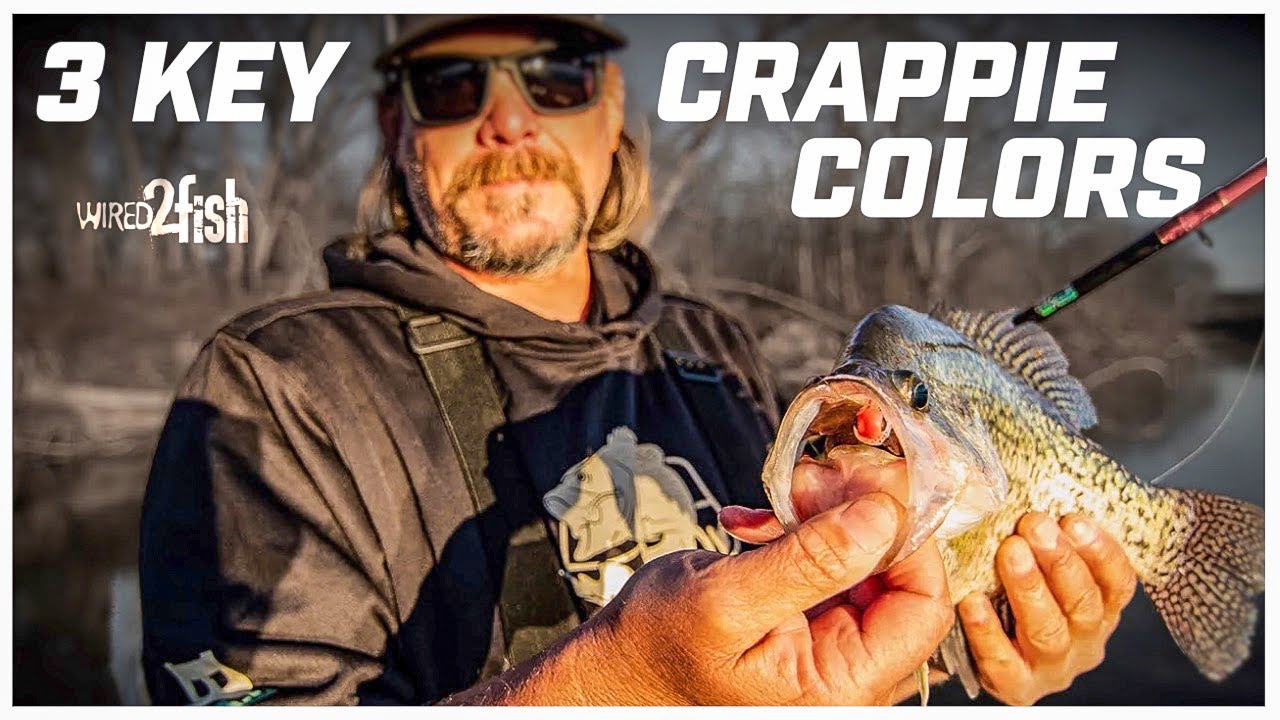 3 Best Lure Colors for Crappies
