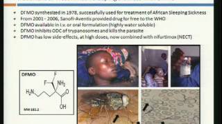 Symposium Presenter Andre Bachmann Part 1