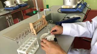 Investigating the effect of high temperatures on permeability of cell membranes
