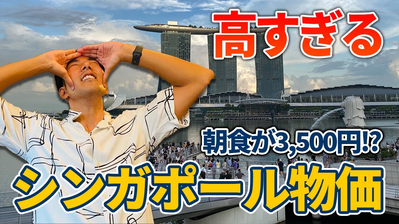 【シンガポール物価】朝食・ディナー・コンドミニアムの価格まで一挙紹介！