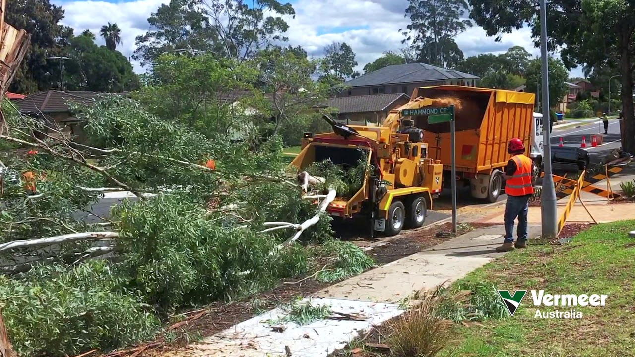 Vermeer BC2100XL wood chipper, gum tree, Sydney, Australia