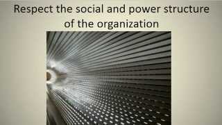 SOA principle respect organization