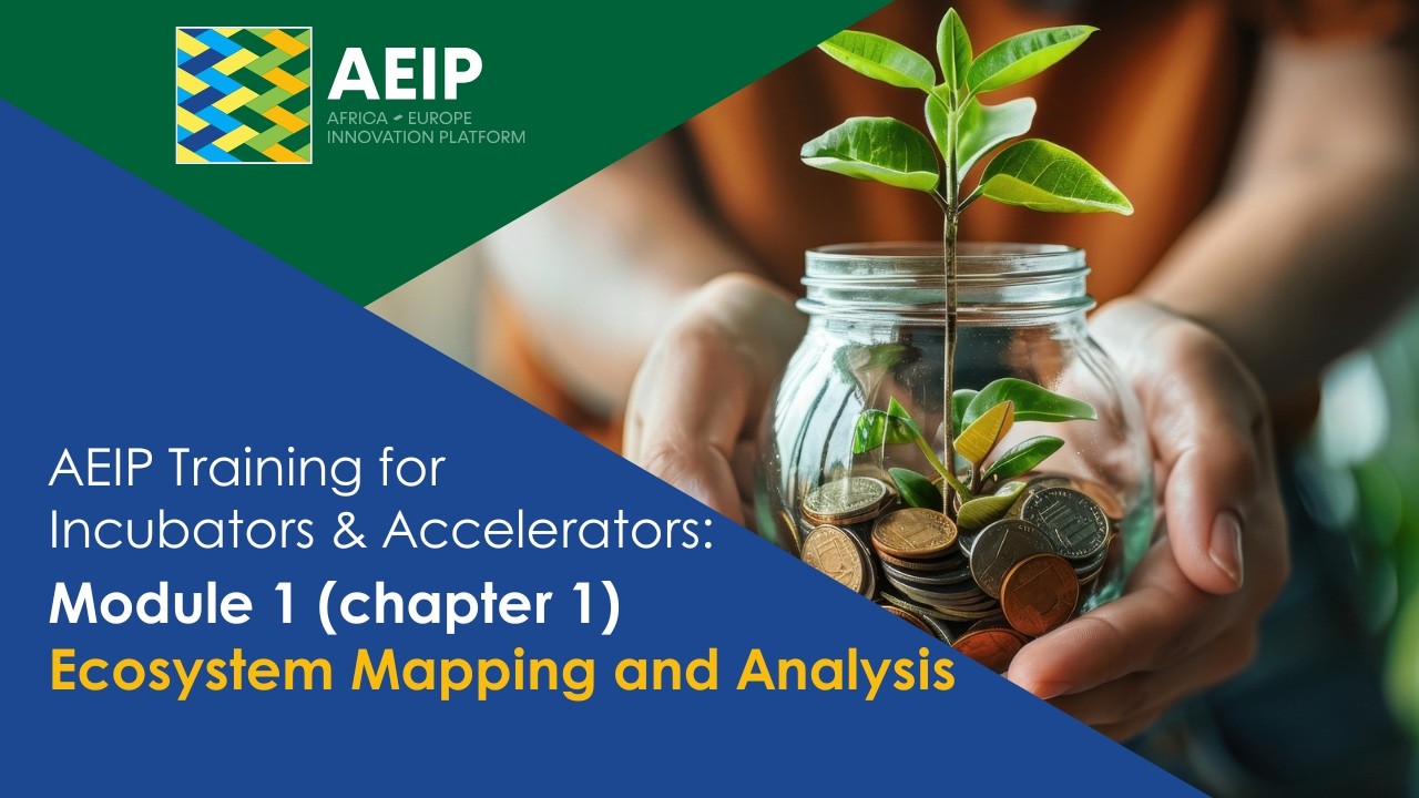 AEIP Training for Incubators & Accelerators – Ecosystem Mapping and ...