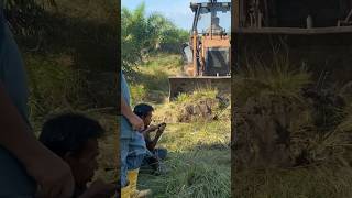 Case Sodok Tanah Di Kebun Sawit